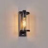 Telhada outdoor wall light, wall light black, 1-light source, Motion sensor