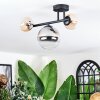 Chehalis ceiling light, globe light Amber, clear, Smoke-coloured, 3-light sources