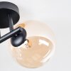 Chehalis ceiling light, globe light Amber, clear, Smoke-coloured, 3-light sources