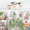 Chehalis ceiling light, globe light Amber, 5-light sources