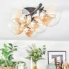 Chehalis ceiling light, globe light Amber, 5-light sources