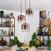 Lauden hanging light, pendant light clear, coppery, 3-light sources