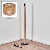 Cando floor lamp Ecru, black, 1-light source