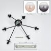 Koyoto ceiling light, globe light 77.5 cm Amber, clear, Smoke-coloured, 6-light sources
