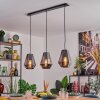 Duren hanging light, pendant light black, 3-light sources