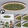 Dorel ceiling light LED green, white, 1-light source