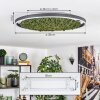 Dorel ceiling light LED green, white, 1-light source