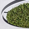 Dorel ceiling light LED green, white, 1-light source