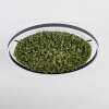 Dorel ceiling light LED green, white, 1-light source
