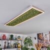 Dorel ceiling light LED green, silver, white, 1-light source