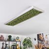 Dorel ceiling light LED green, silver, white, 1-light source