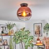 Koyoto ceiling light, globe light clear, coppery, 1-light source