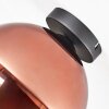 Koyoto ceiling light, globe light coppery, 1-light source