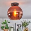 Koyoto ceiling light, globe light coppery, 1-light source