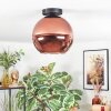 Koyoto ceiling light, globe light coppery, 1-light source