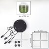 Lauden hanging light, globe light, pendant light green, clear, 4-light sources