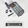 Monfanim outdoor wall light, wall light black, 1-light source, Motion sensor