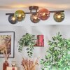 Chehalis ceiling light, globe light blue, chrome, green, coppery, Smoke-coloured, 5-light sources