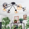 Koyoto ceiling light, globe light 77.5 cm Amber, clear, Smoke-coloured, 6-light sources
