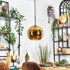 Koyoto hanging light, globe light, pendant light gold, 1-light source