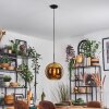 Koyoto hanging light, globe light, pendant light gold, 1-light source