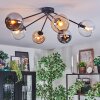 Koyoto ceiling light, globe light 77.5 cm Amber, chrome, clear, Smoke-coloured, 6-light sources