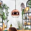 Koyoto hanging light, globe light, pendant light clear, coppery, 1-light source
