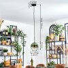 Koyoto hanging light, globe light, pendant light green, clear, 1-light source