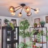 Koyoto ceiling light, globe light 77.5 cm Amber, clear, Smoke-coloured, 6-light sources