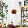 Koyoto hanging light, globe light, pendant light gold, 1-light source
