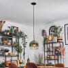Koyoto hanging light, globe light, pendant light 25 cm green, clear, 1-light source