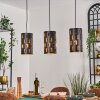 Rolin hanging light, pendant light black, 3-light sources