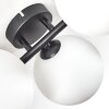 Chehalis ceiling light, globe light white, 5-light sources