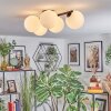 Chehalis ceiling light, globe light white, 5-light sources