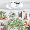 Chehalis ceiling light, globe light white, 5-light sources