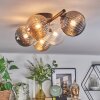 Chehalis ceiling light, globe light Amber, clear, Smoke-coloured, 5-light sources