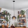 Koyoto hanging light, globe light, pendant light 30 cm clear, Smoke-coloured, 1-light source