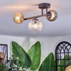 Chehalis ceiling light, globe light Amber, clear, Smoke-coloured, 3-light sources