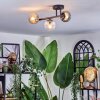 Chehalis ceiling light, globe light Amber, clear, Smoke-coloured, 3-light sources