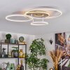 Dorin ceiling light LED sand-coloured, 1-light source, Remote control