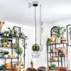 Koyoto hanging light, globe light, pendant light green, 1-light source