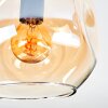 Ripoll ceiling light, globe light Amber, clear, Smoke-coloured, 4-light sources