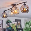 Ripoll ceiling light, globe light Amber, clear, Smoke-coloured, 4-light sources