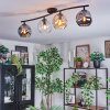 Ripoll ceiling light, globe light Amber, clear, Smoke-coloured, 4-light sources