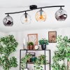 Ripoll ceiling light, globe light Amber, clear, Smoke-coloured, 4-light sources