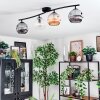 Ripoll ceiling light, globe light Amber, clear, Smoke-coloured, 4-light sources
