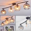 Ripoll ceiling light, globe light Amber, clear, Smoke-coloured, 4-light sources