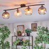 Ripoll ceiling light, globe light Amber, clear, Smoke-coloured, 4-light sources