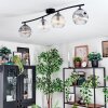 Ripoll ceiling light, globe light Amber, clear, Smoke-coloured, 4-light sources