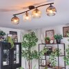 Ripoll ceiling light, globe light Amber, clear, Smoke-coloured, 4-light sources